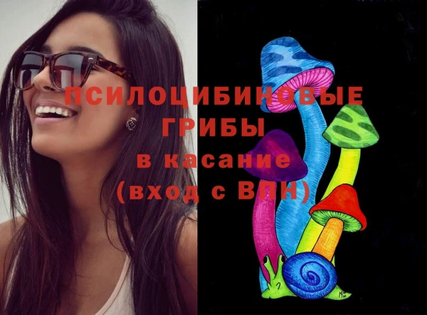 индика Вязьма